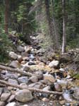 IMG_1904