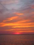 IMG_2883