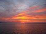 IMG_2884